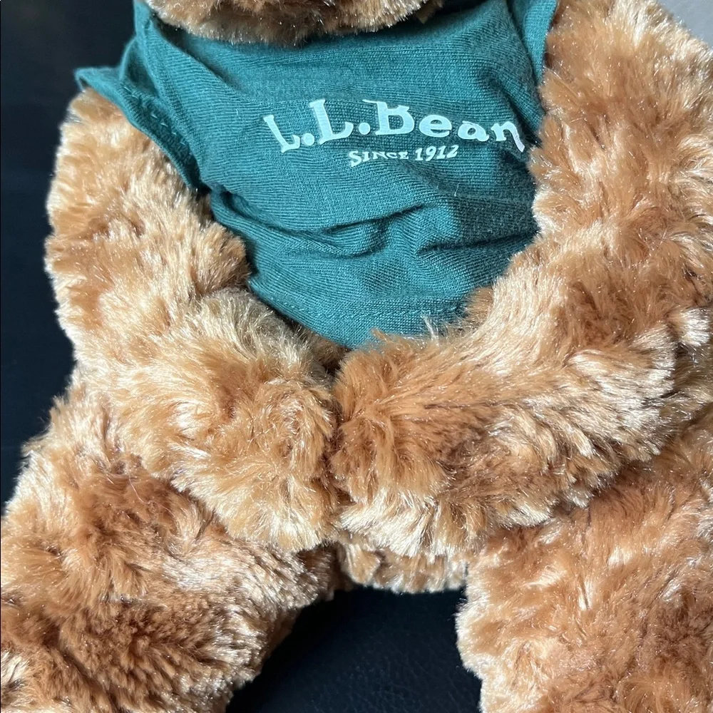 L.L. Bean Plush Douglas Bear with Forest Green Shirt